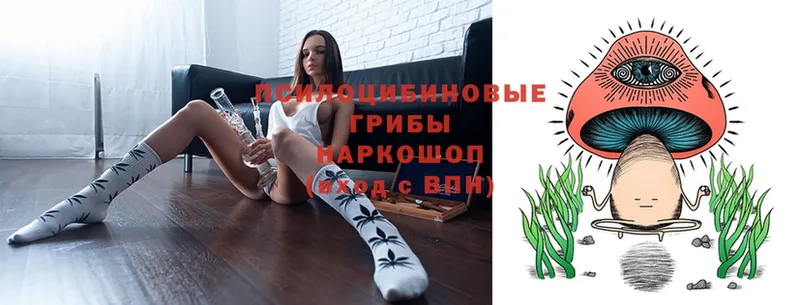 Галлюциногенные грибы MAGIC MUSHROOMS  Артёмовский 