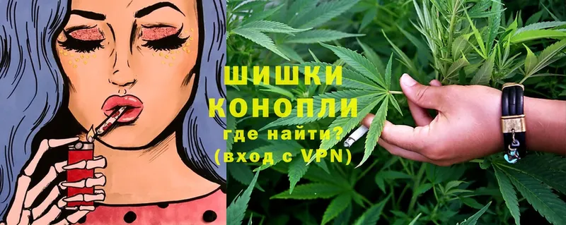 Каннабис OG Kush  Артёмовский 